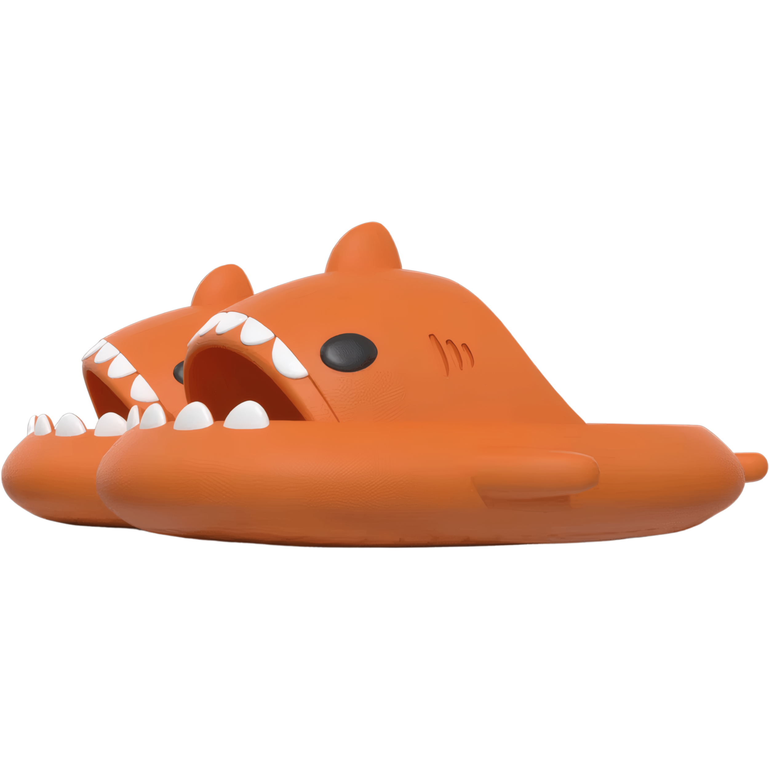 כפכפים כריש