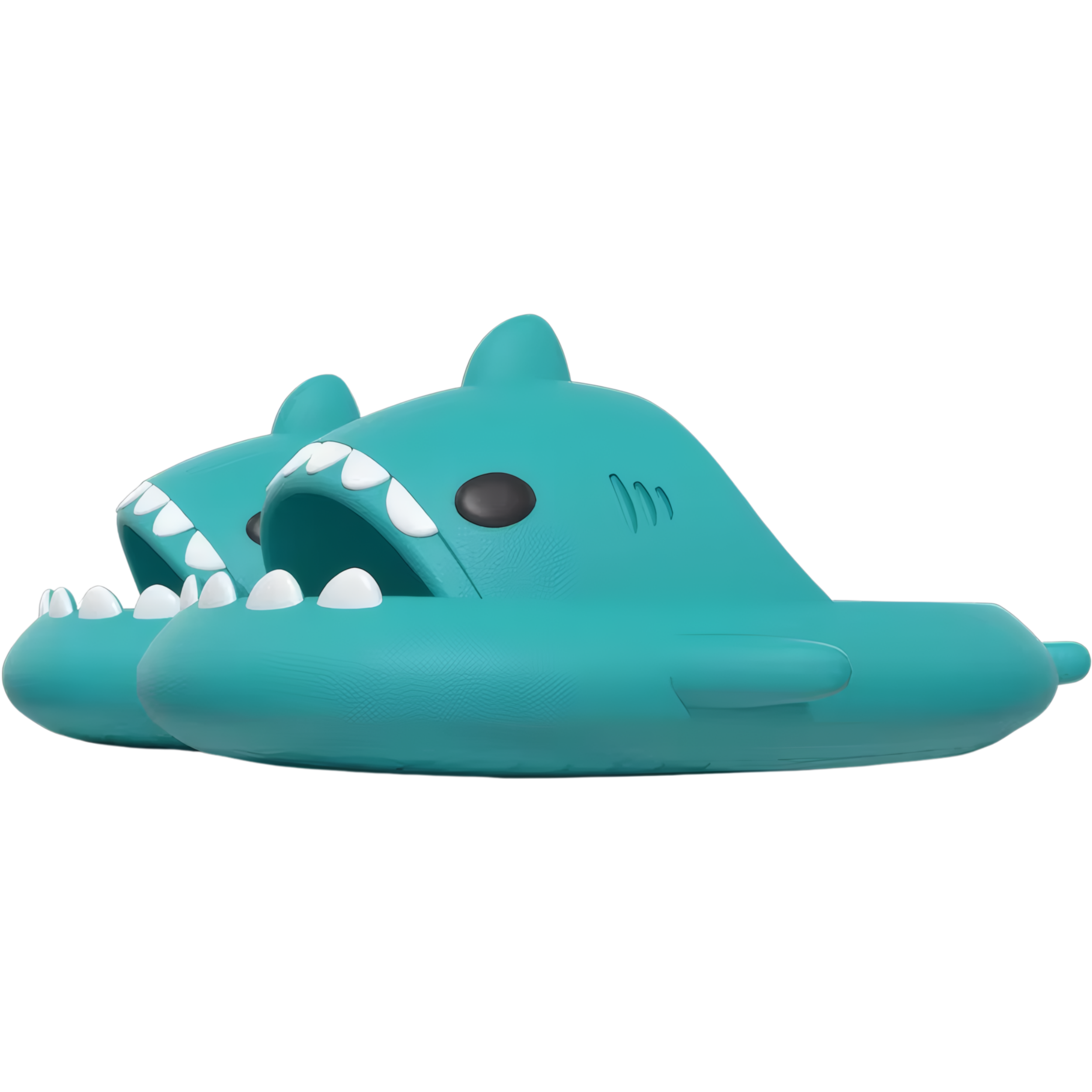 כפכפים כריש