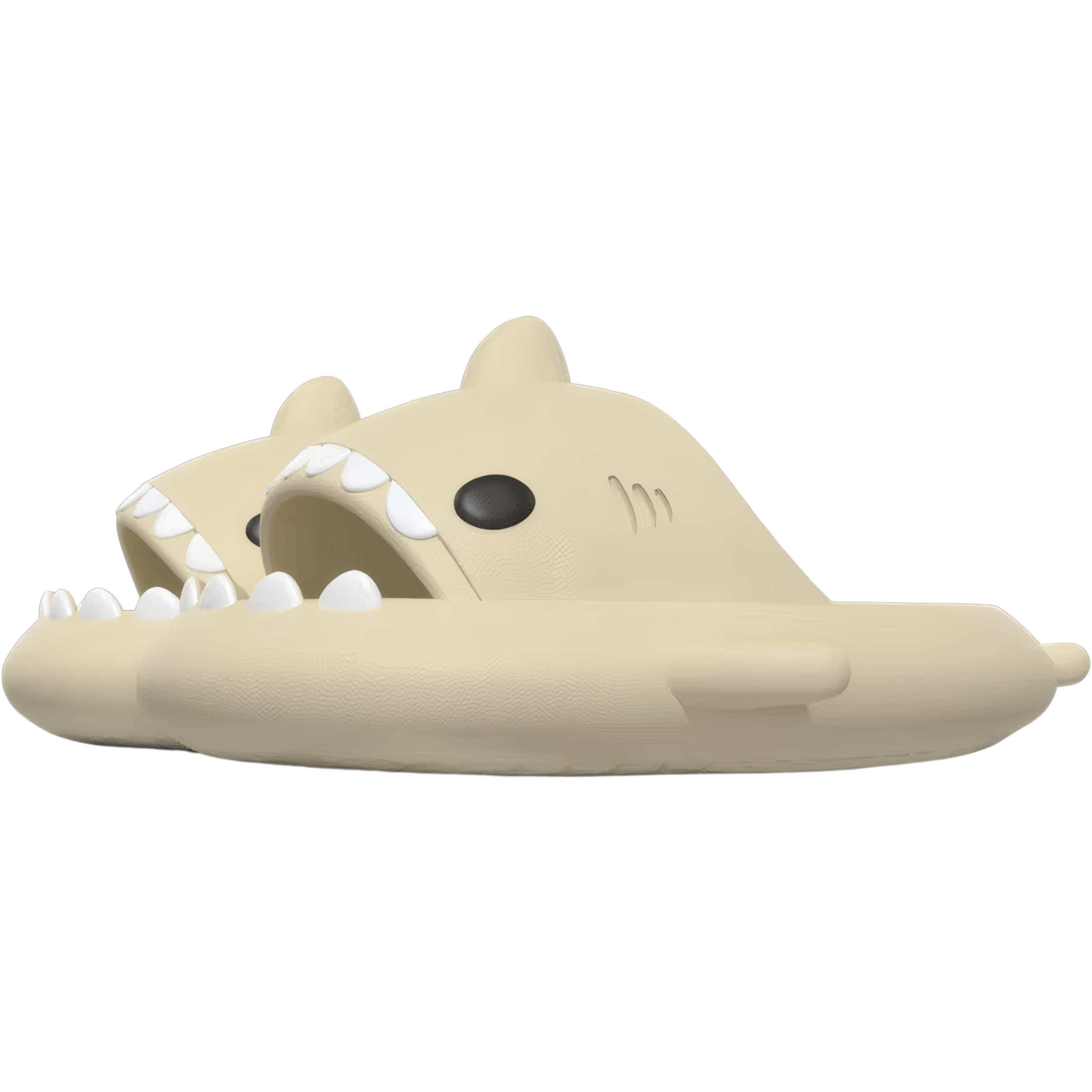 כפכפים כריש