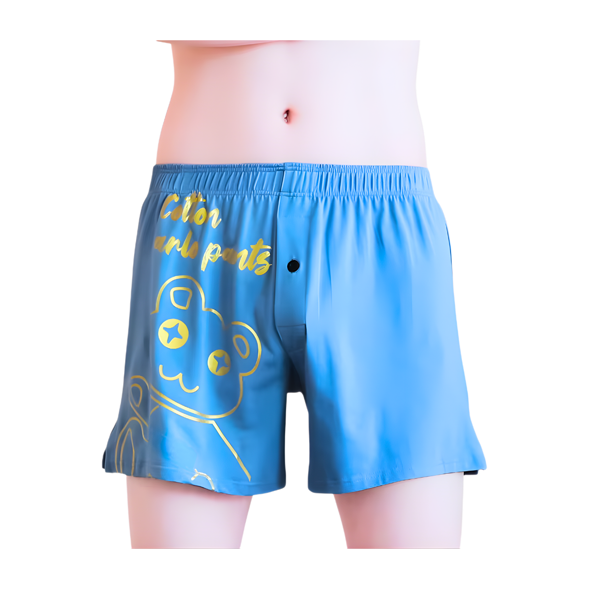 בוקסר ציורים